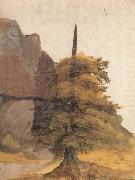Albrecht Durer A Tree in a Quarry oil painting on canvas